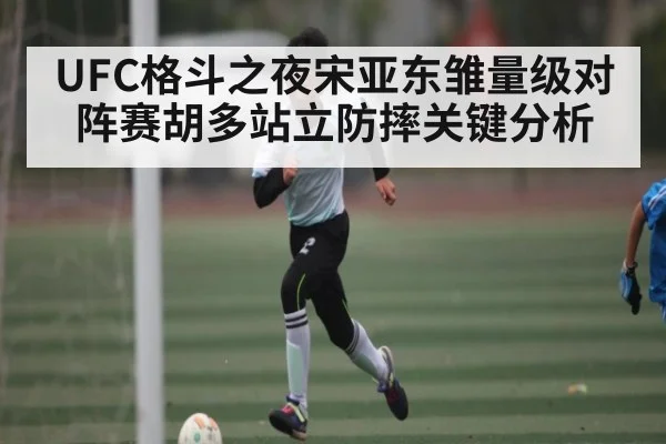 UFC格斗之夜宋亚东雏量级对阵赛胡多站立防摔关键分析