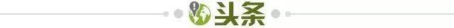 1ad8ae26-c62a-4932-92fd-8d8cc3046482.jpg@!img01